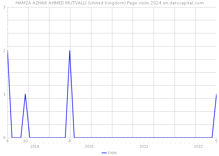 HAMZA AZHAR AHMED MUTVALLI (United Kingdom) Page visits 2024 