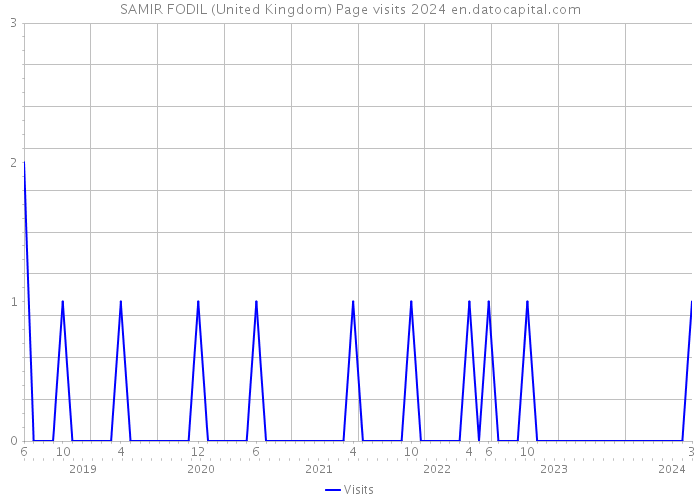 SAMIR FODIL (United Kingdom) Page visits 2024 