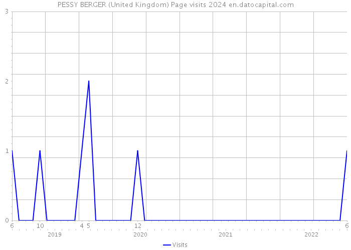 PESSY BERGER (United Kingdom) Page visits 2024 