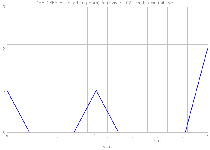 DAVID BEALE (United Kingdom) Page visits 2024 