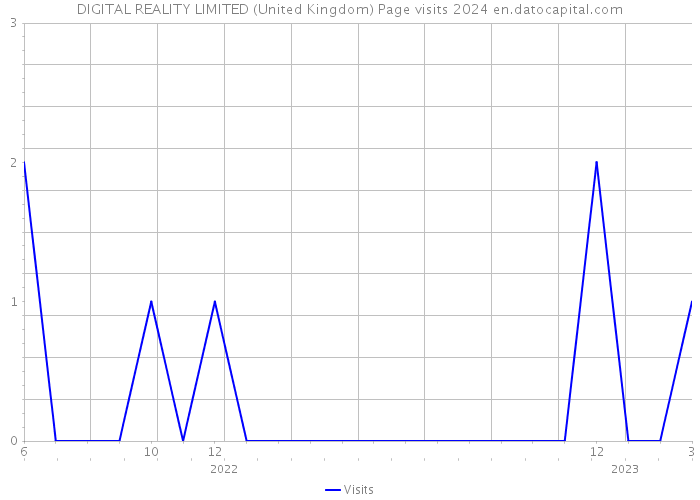 DIGITAL REALITY LIMITED (United Kingdom) Page visits 2024 