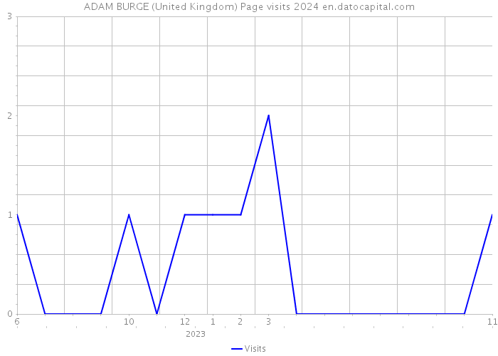 ADAM BURGE (United Kingdom) Page visits 2024 