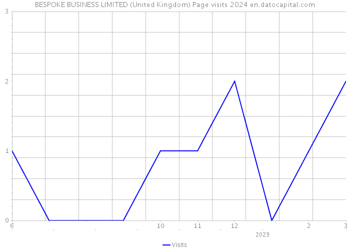 BESPOKE BUSINESS LIMITED (United Kingdom) Page visits 2024 