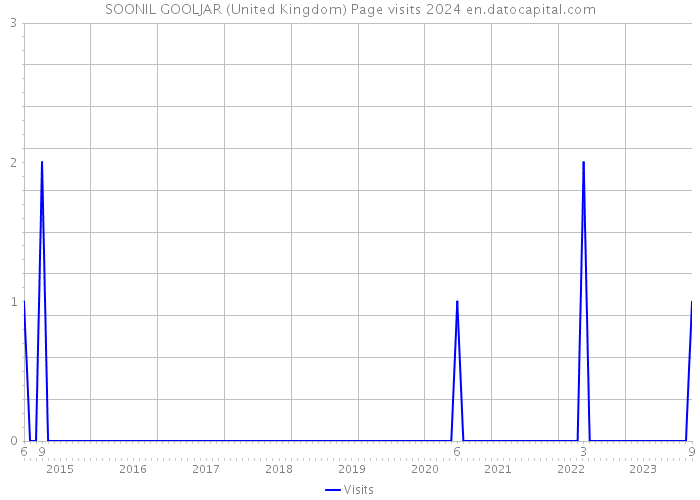 SOONIL GOOLJAR (United Kingdom) Page visits 2024 