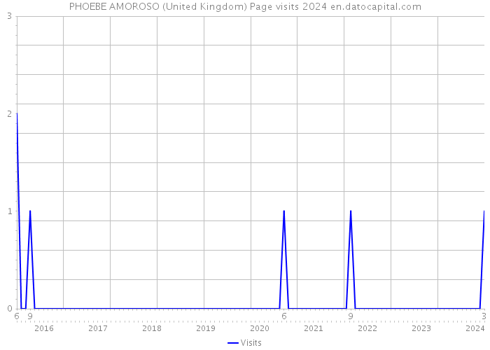 PHOEBE AMOROSO (United Kingdom) Page visits 2024 