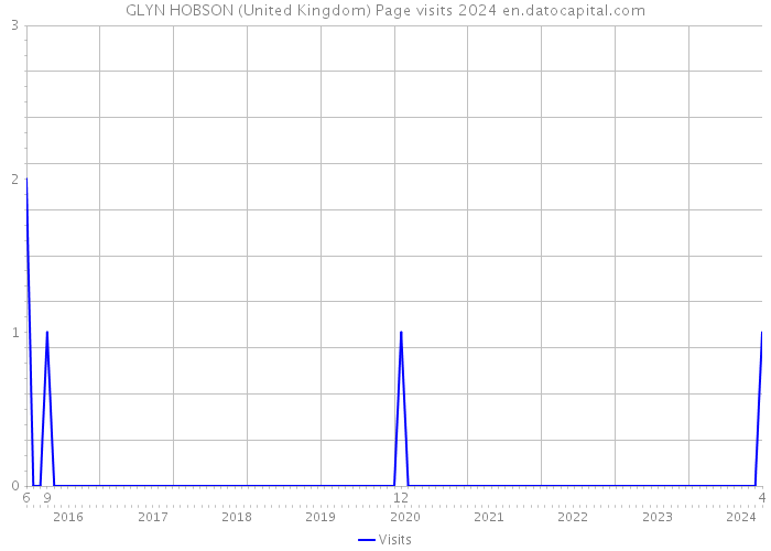GLYN HOBSON (United Kingdom) Page visits 2024 