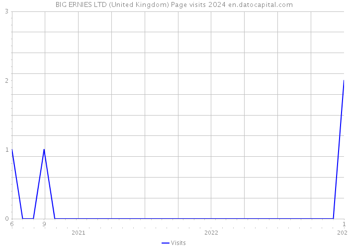 BIG ERNIES LTD (United Kingdom) Page visits 2024 