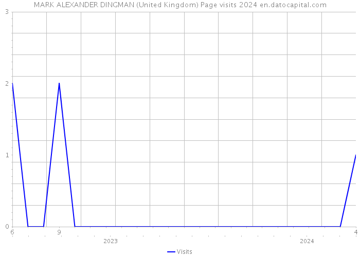 MARK ALEXANDER DINGMAN (United Kingdom) Page visits 2024 