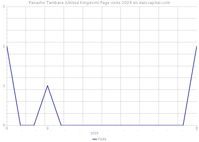 Panashe Tambara (United Kingdom) Page visits 2024 