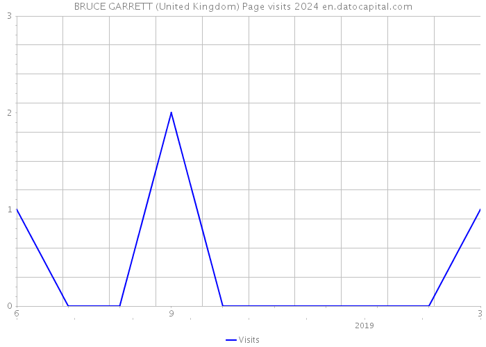 BRUCE GARRETT (United Kingdom) Page visits 2024 