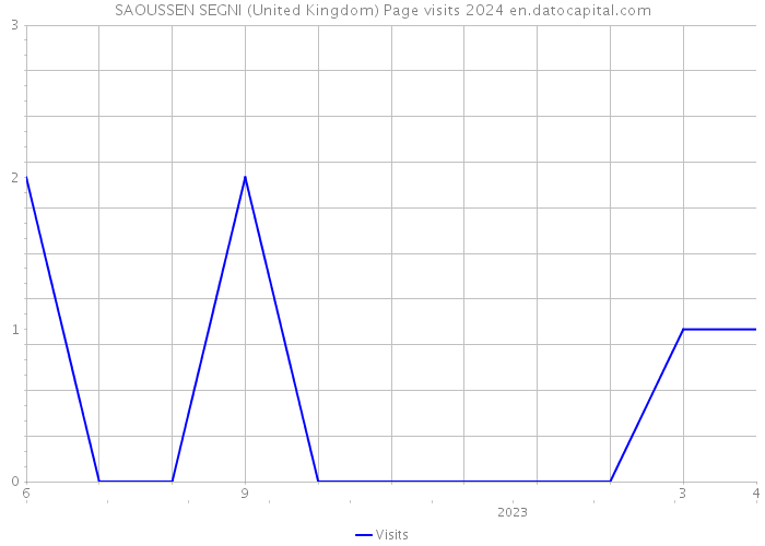 SAOUSSEN SEGNI (United Kingdom) Page visits 2024 