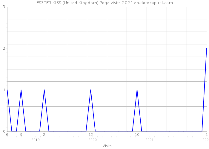 ESZTER KISS (United Kingdom) Page visits 2024 