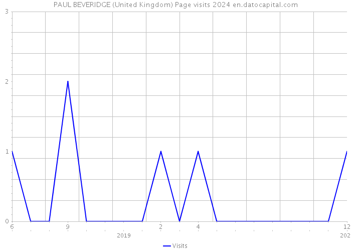 PAUL BEVERIDGE (United Kingdom) Page visits 2024 