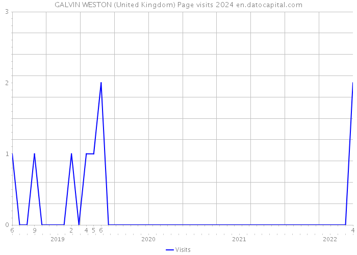GALVIN WESTON (United Kingdom) Page visits 2024 