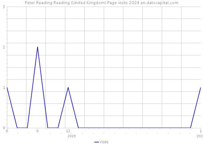 Peter Reading Reading (United Kingdom) Page visits 2024 