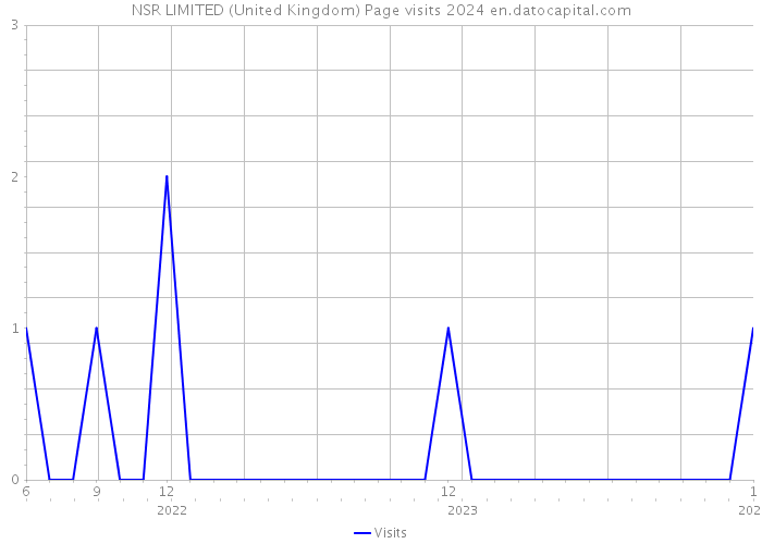 NSR LIMITED (United Kingdom) Page visits 2024 