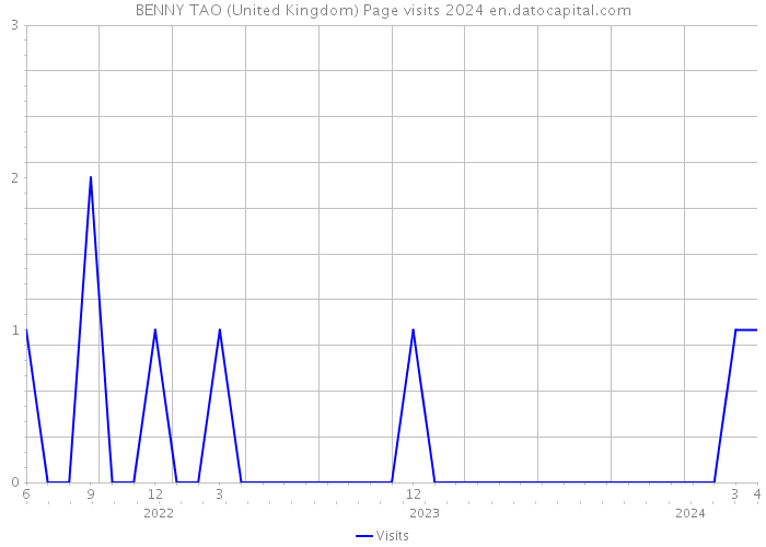 BENNY TAO (United Kingdom) Page visits 2024 