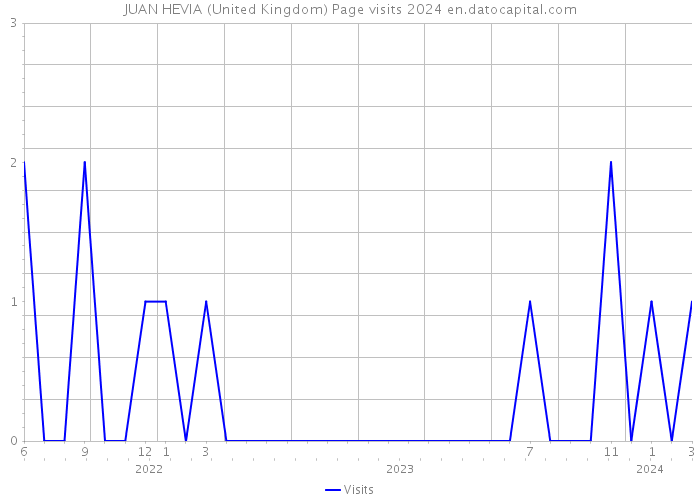 JUAN HEVIA (United Kingdom) Page visits 2024 