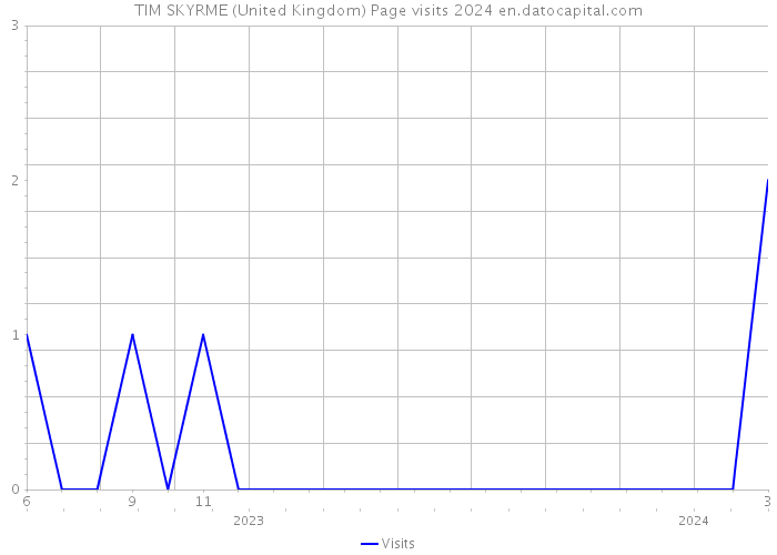 TIM SKYRME (United Kingdom) Page visits 2024 