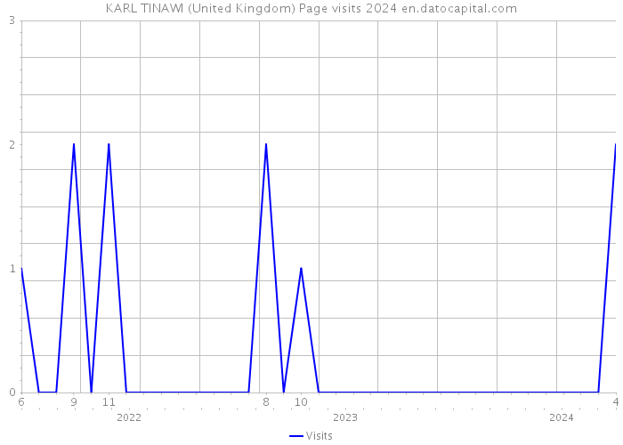 KARL TINAWI (United Kingdom) Page visits 2024 