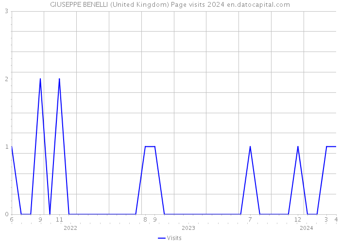 GIUSEPPE BENELLI (United Kingdom) Page visits 2024 