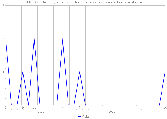 BENEDIKT BAUER (United Kingdom) Page visits 2024 