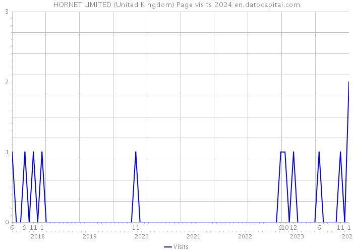 HORNET LIMITED (United Kingdom) Page visits 2024 