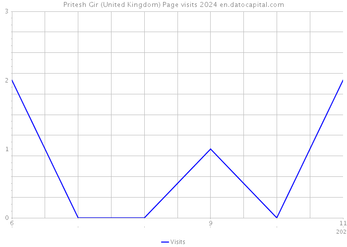Pritesh Gir (United Kingdom) Page visits 2024 