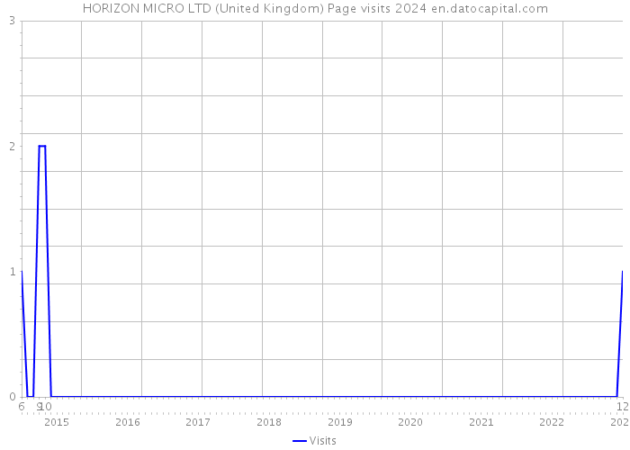 HORIZON MICRO LTD (United Kingdom) Page visits 2024 