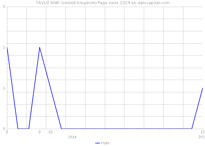 YAVUZ ANIK (United Kingdom) Page visits 2024 