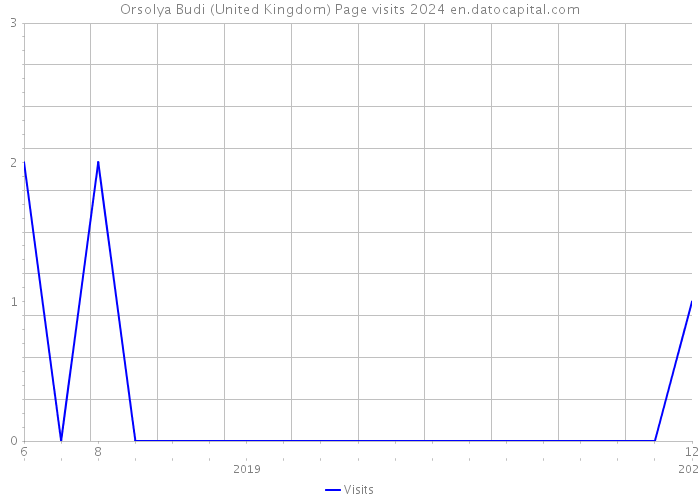 Orsolya Budi (United Kingdom) Page visits 2024 