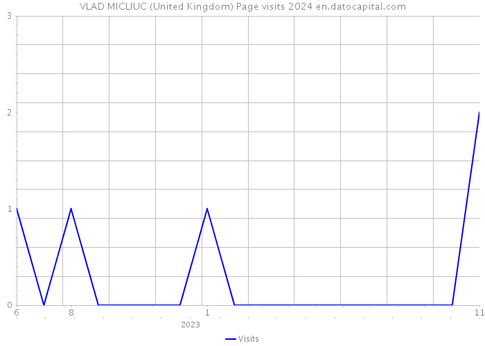 VLAD MICLIUC (United Kingdom) Page visits 2024 