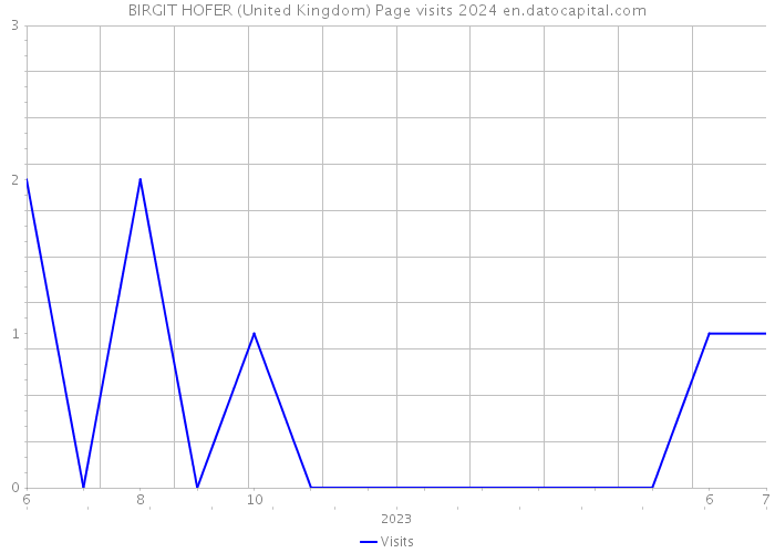 BIRGIT HOFER (United Kingdom) Page visits 2024 