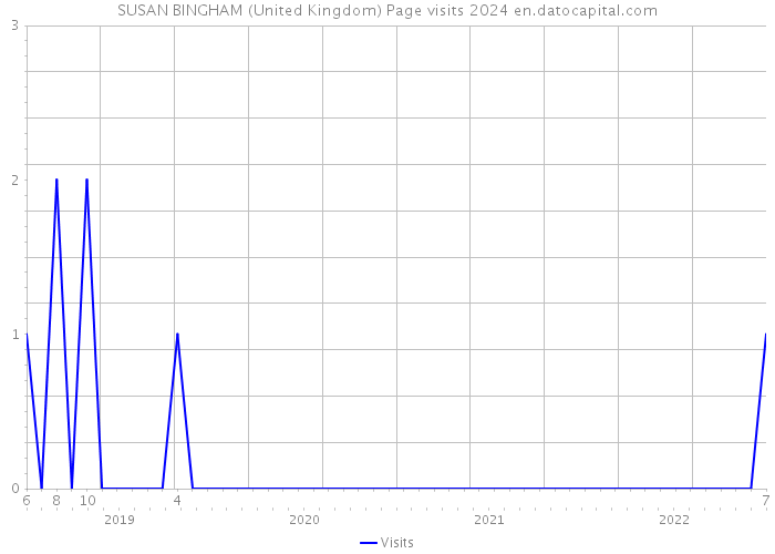 SUSAN BINGHAM (United Kingdom) Page visits 2024 