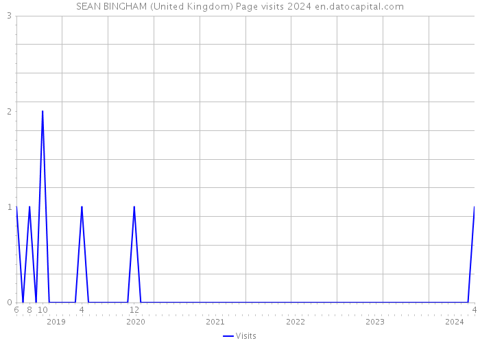 SEAN BINGHAM (United Kingdom) Page visits 2024 