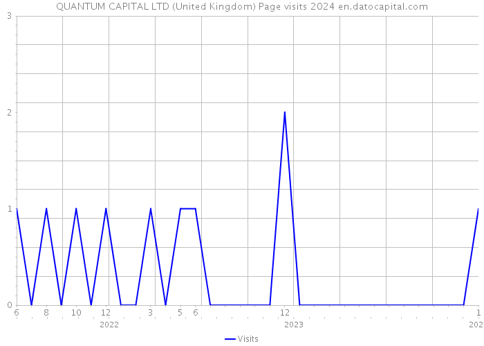 QUANTUM CAPITAL LTD (United Kingdom) Page visits 2024 