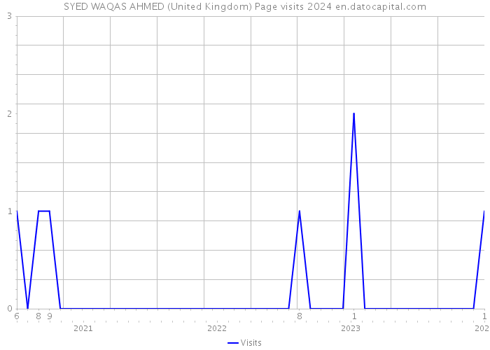 SYED WAQAS AHMED (United Kingdom) Page visits 2024 