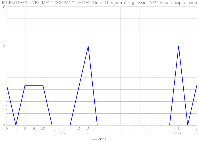 BIT BROTHER INVESTMENT COMPANY LIMITED (United Kingdom) Page visits 2024 