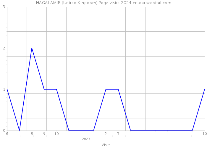 HAGAI AMIR (United Kingdom) Page visits 2024 