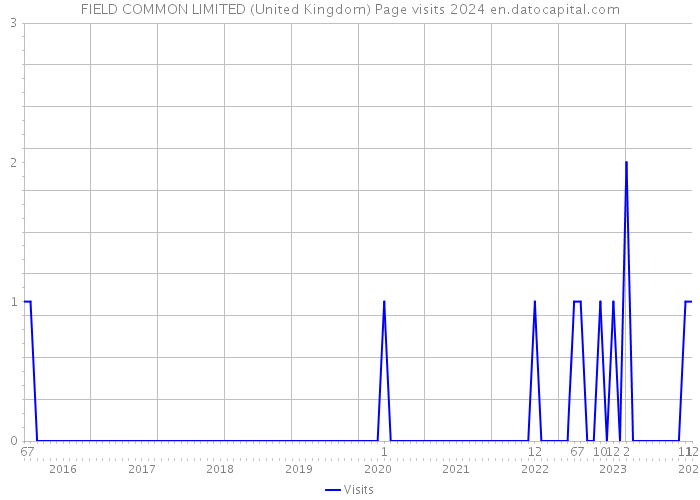 FIELD COMMON LIMITED (United Kingdom) Page visits 2024 