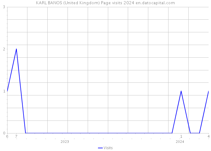 KARL BANOS (United Kingdom) Page visits 2024 