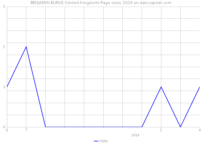 BENJAMIN BURKE (United Kingdom) Page visits 2024 