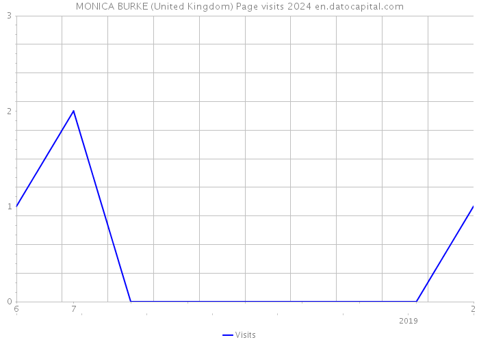 MONICA BURKE (United Kingdom) Page visits 2024 