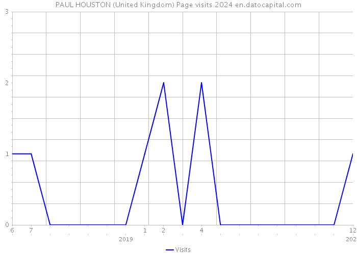 PAUL HOUSTON (United Kingdom) Page visits 2024 