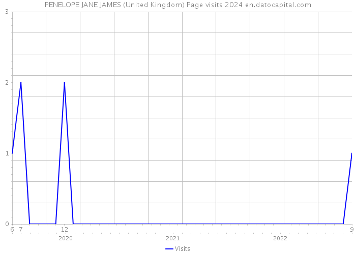 PENELOPE JANE JAMES (United Kingdom) Page visits 2024 