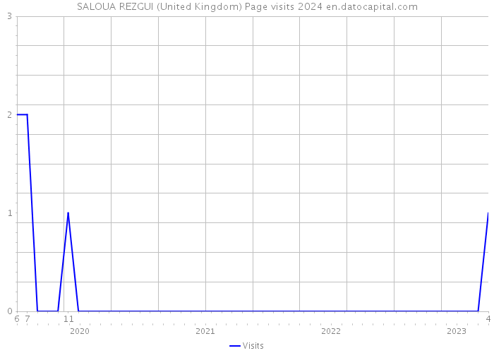 SALOUA REZGUI (United Kingdom) Page visits 2024 