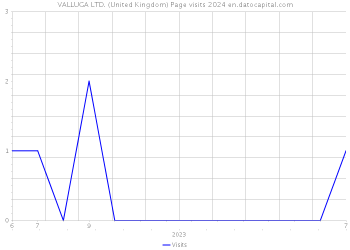 VALLUGA LTD. (United Kingdom) Page visits 2024 