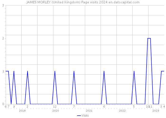 JAMES MORLEY (United Kingdom) Page visits 2024 