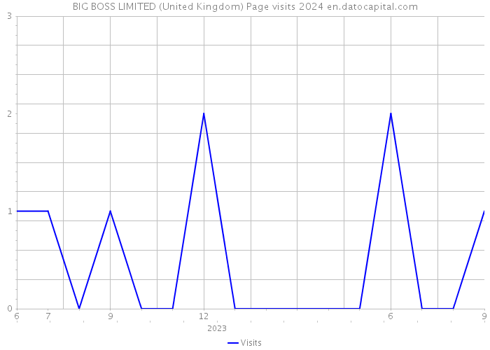 BIG BOSS LIMITED (United Kingdom) Page visits 2024 