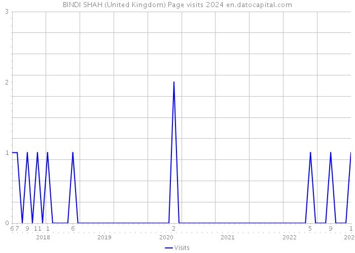 BINDI SHAH (United Kingdom) Page visits 2024 
